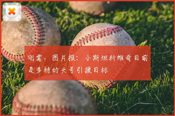 刚需，图片报：小斯坦科维奇目前是多特的头号引援目标