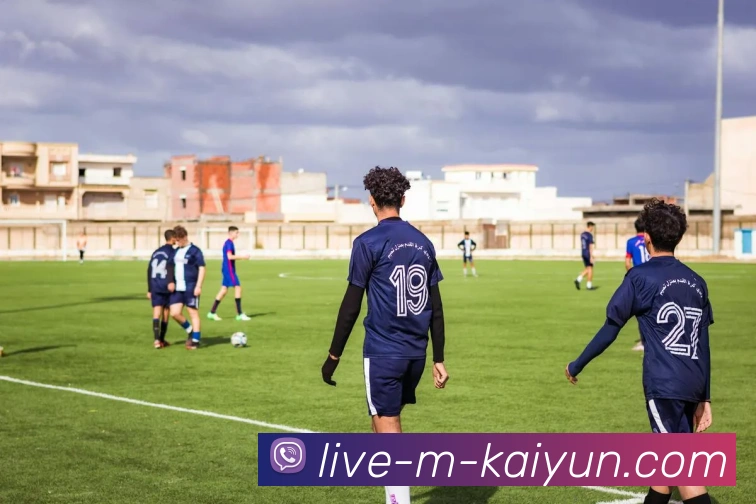 多媒体互动体验