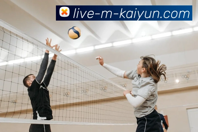 开云APP 高清赛事图